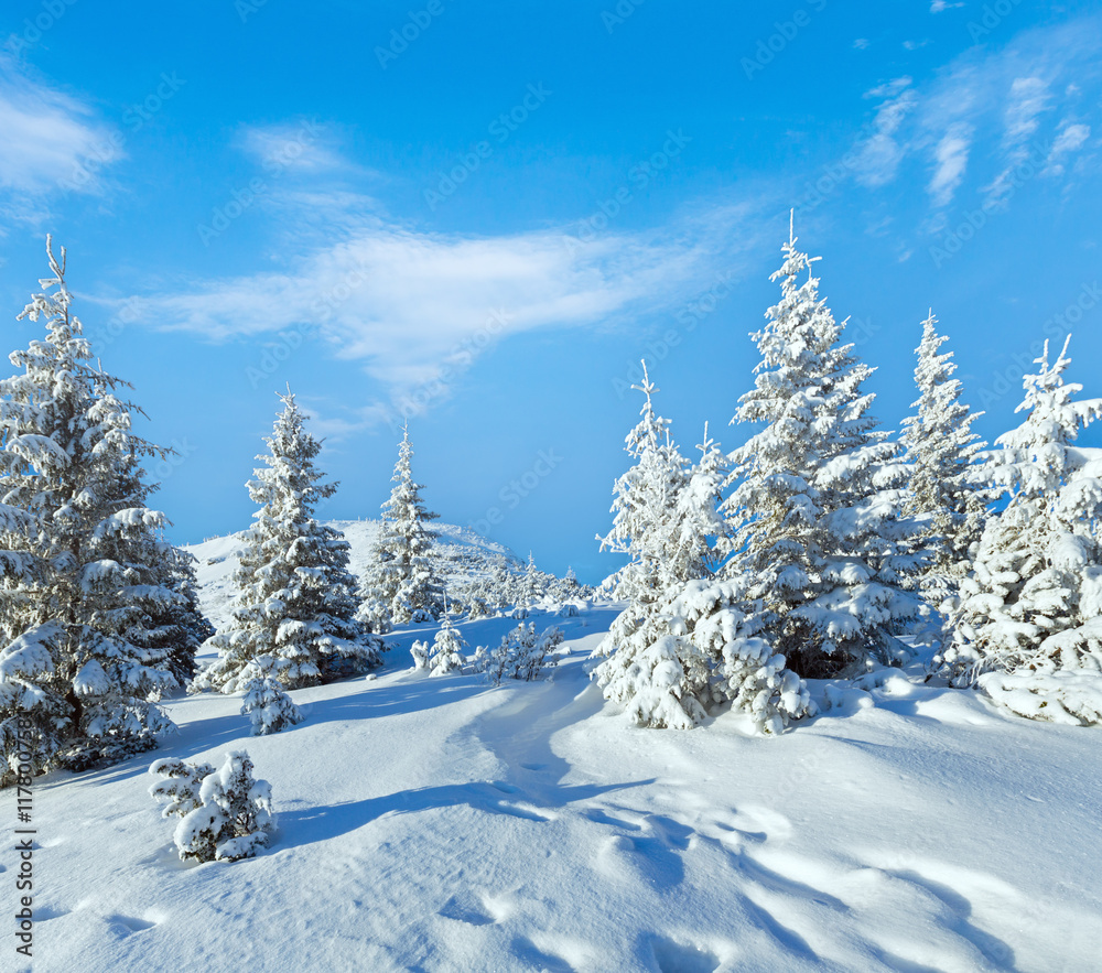 Obraz premium Morning winter mountain landscape