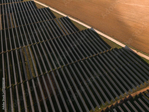 A field of solar panels next to a field of agriculture photo