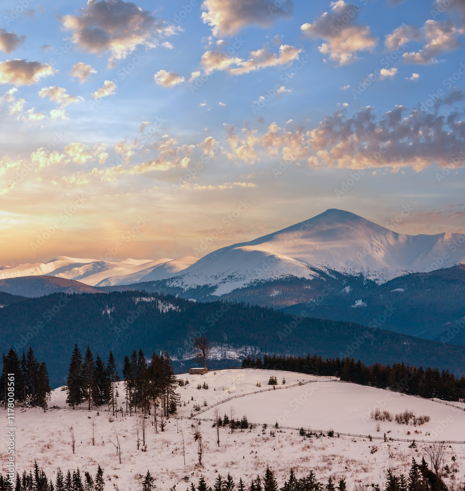 Evening twilight winter snow covered alp mountain ridge (Ukraine, Carpathian Mountains, Chornohora Range - Hoverla and other mounts, scenery view from Yablunytsia pass).