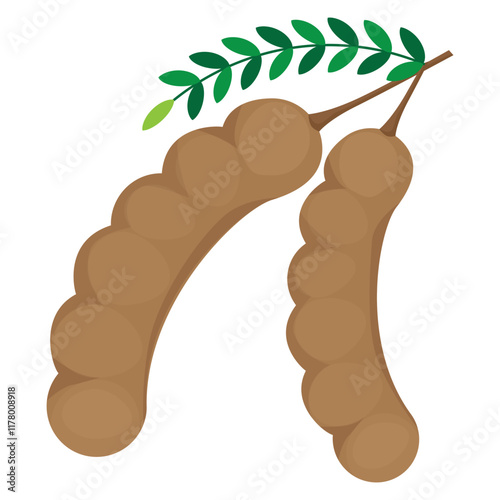 isolated tamarind on white background vector design