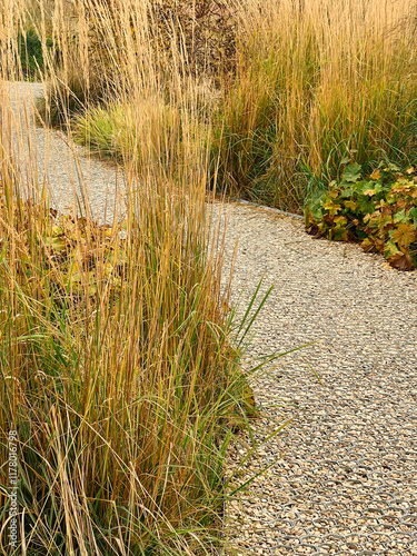 Path through dry grasses