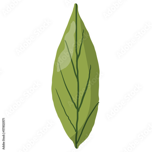 Elegant green leaf illustration with a slim and elongated shape, featuring natural vein details. Ideal for eco-themed designs, botanical projects, packaging, and decorative purposes