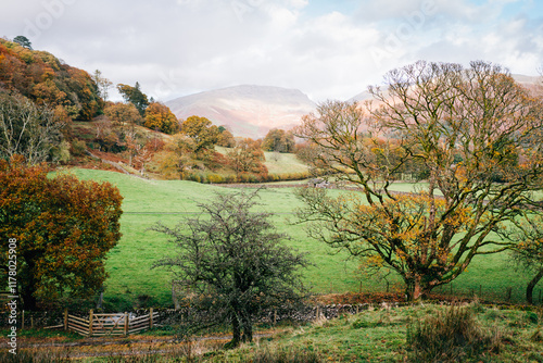 View of trees and fields in Lale District  photo