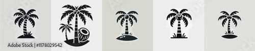 vector beautiful coconut tree silhouette