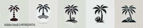 vector beautiful coconut tree silhouette