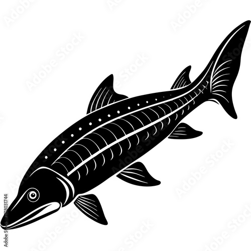 Elegant Siberian Sturgeon Silhouette