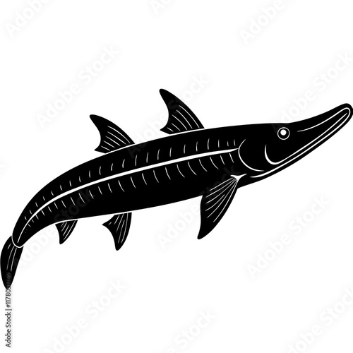 Elegant Siberian Sturgeon Silhouette