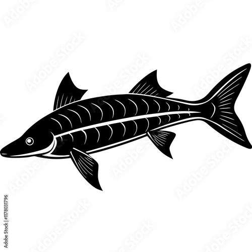 Elegant Siberian Sturgeon Silhouette