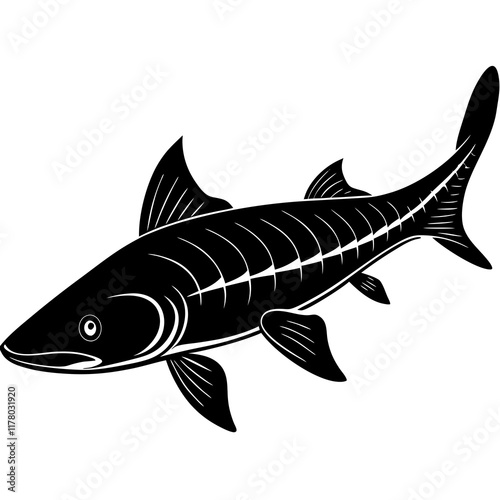 Elegant Siberian Sturgeon Silhouette