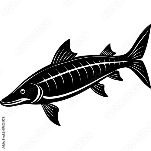 Elegant Siberian Sturgeon Silhouette