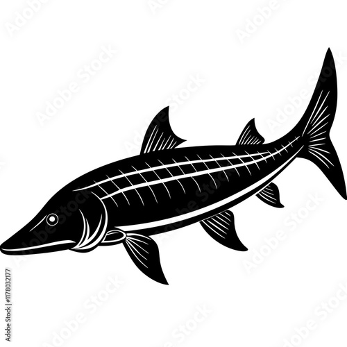 Elegant Siberian Sturgeon Silhouette