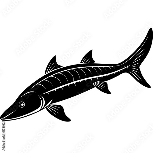 Elegant Siberian Sturgeon Silhouette