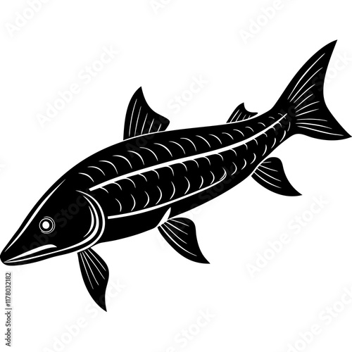 Elegant Siberian Sturgeon Silhouette
