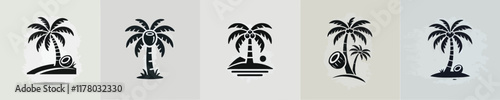 vector beautiful coconut tree silhouette