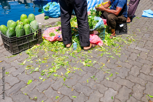 Cabbages at the Market photo