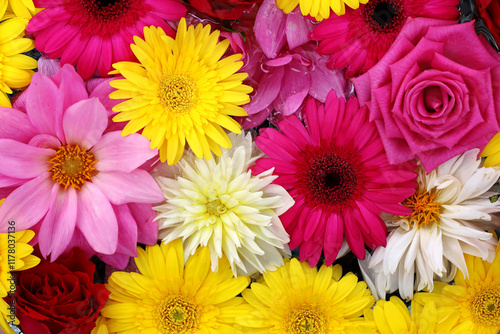 Background material photo of colorful flowers floating on water taken from above