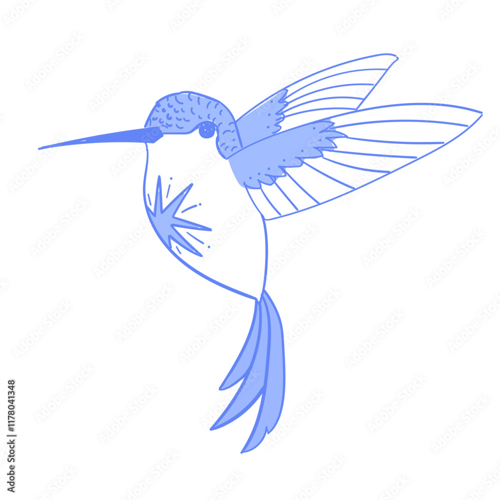 Fototapeta premium colibri