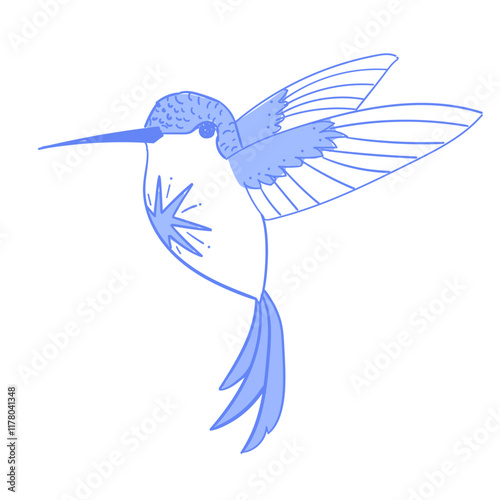 colibri