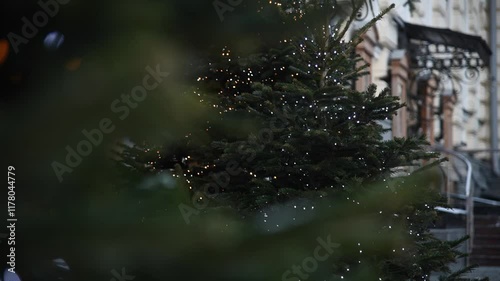 Side view of green coloured natural spruce Christmas tree with glowing Christmas lights standing on winter city street. Handheld video. Soft focus. Copy space. Holidays decoration theme.