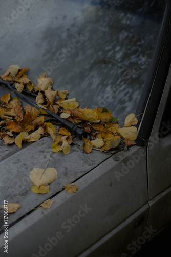 Autumn Leaves on Vintage Car Hood photo