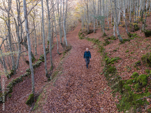 Man walks in forest during fall photo