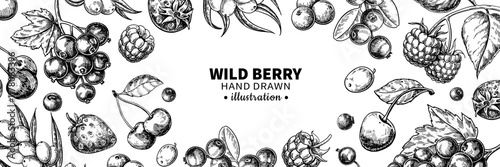 Wild berry drawing. Hand drawn vintage vector frame. Summer fruit set of strawberry, cranberry, cherry, strawberry,