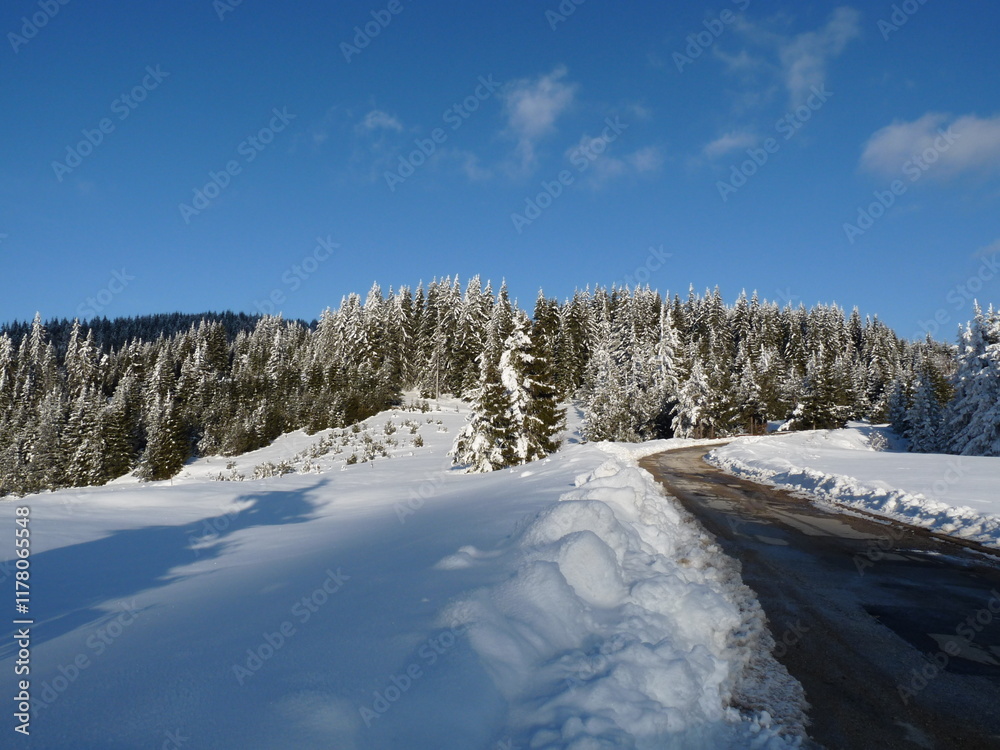 Snowy winter landscape scene in sunny day. А road passing through a mountain forest of snow-covered fir trees Bright blue sky with copy space. Pamporovo. Rozhen. Bulgaria Snowy winter landscape scene in sunny day. А road passing through a mountain forest of snow-covered fir trees Bright blue sky with copy space. Pamporovo. Rozhen. Bulgaria