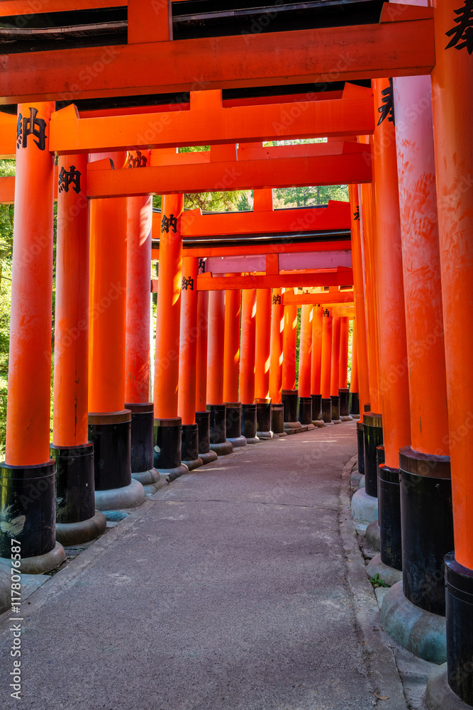 Kyoto Japan Fushimi Inari Shrine Temple Kyoto Japan Fushimi Inari Shrine Temple
