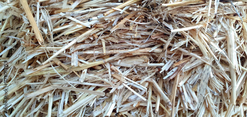 Hay background and texture. Straw, hay texture, dry grass close-up. Straw background. Insulation is natural material straw.