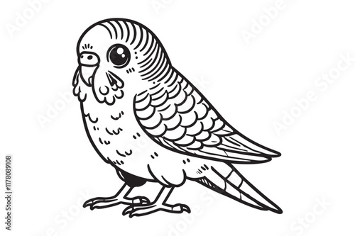 Line art of Budgerigar vector