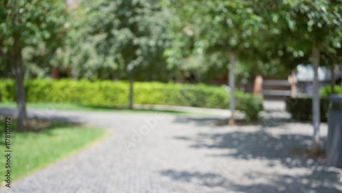 Blurred path in outdoor park setting with lush green trees and sunlight casting shadows on the ground
