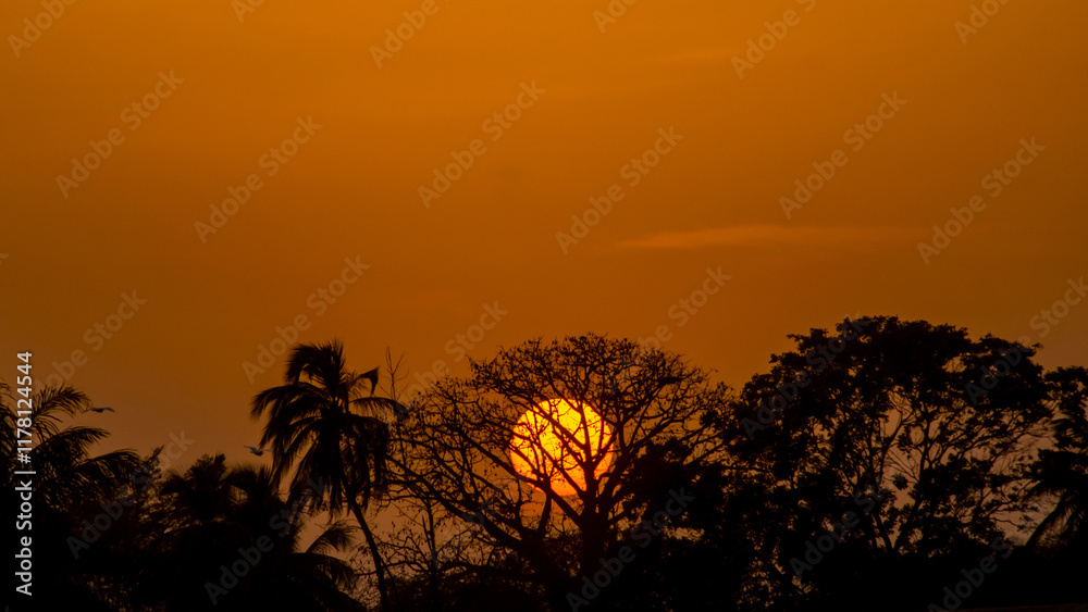 Sun setting behind typical african landscape and trees. Silhouette of different trees with sun falling behind them.