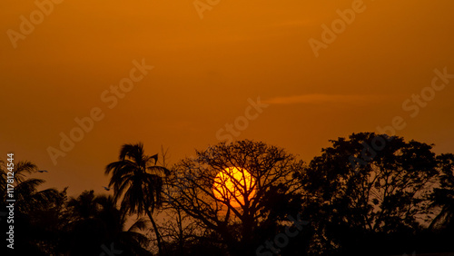 Obraz na płótnie Sun setting behind typical african landscape and trees. Silhouette of different trees with sun falling behind them. w salonie