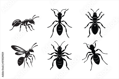 set of ants