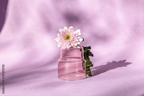 Pink chrysanthemum and glass vase on pastel purple background photo