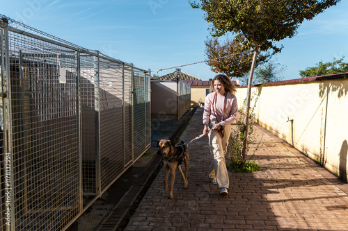 Volunteer leading stray dog  photo