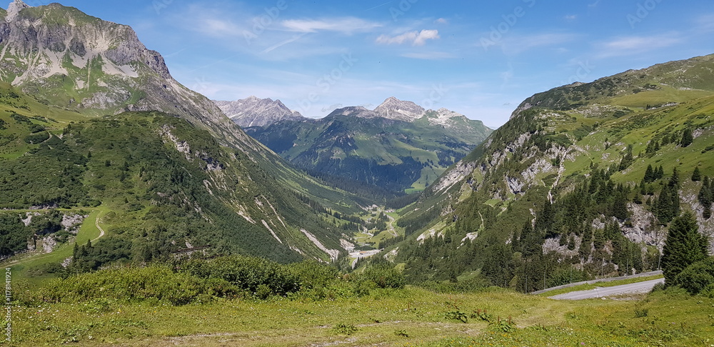 Green Mountain Slopes with Coniferous Forest and Blue Sky