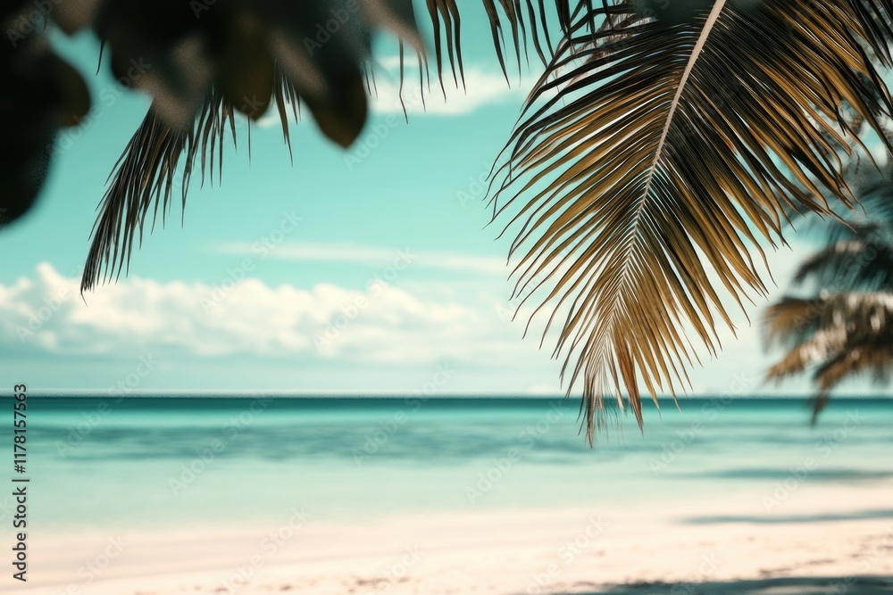 Obraz premium A serene coastal scene with a single palm tree standing tall in the foreground