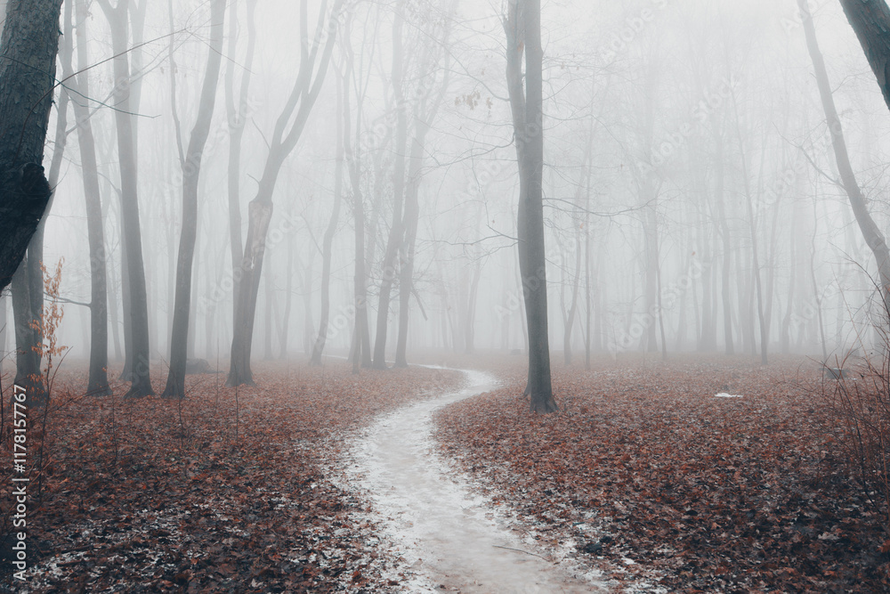 Obraz premium Autumn city park at in fog