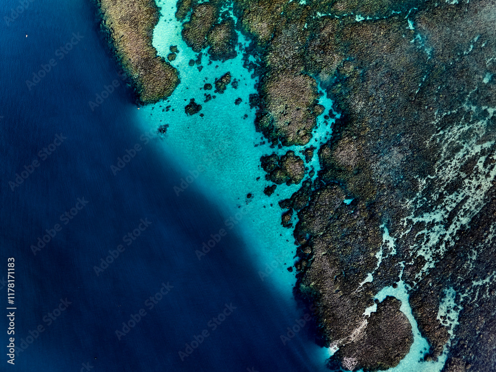 © C6 Studio/Stocksy - Aerial view of tropical reef © C6 Studio/Stocksy - Aerial view of tropical reef