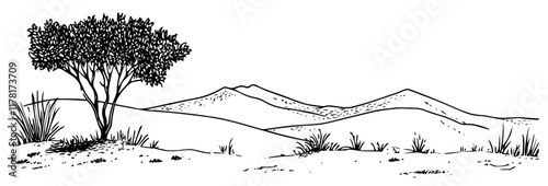 hand-drawn desert landscape with lone tree and distant hills in black and white