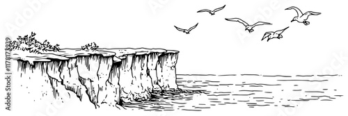 hand-drawn seaside cliff with birds flying above the ocean in black and white