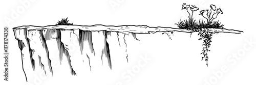 hand-drawn cliff edge with sparse vegetation and hanging vines in black and white