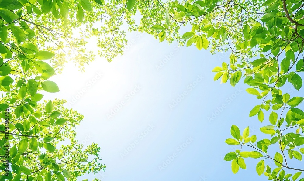 Sun shining through fresh green leaves against blue sky, ideal for nature backgrounds. Sun shining through fresh green leaves against blue sky, ideal for nature backgrounds.