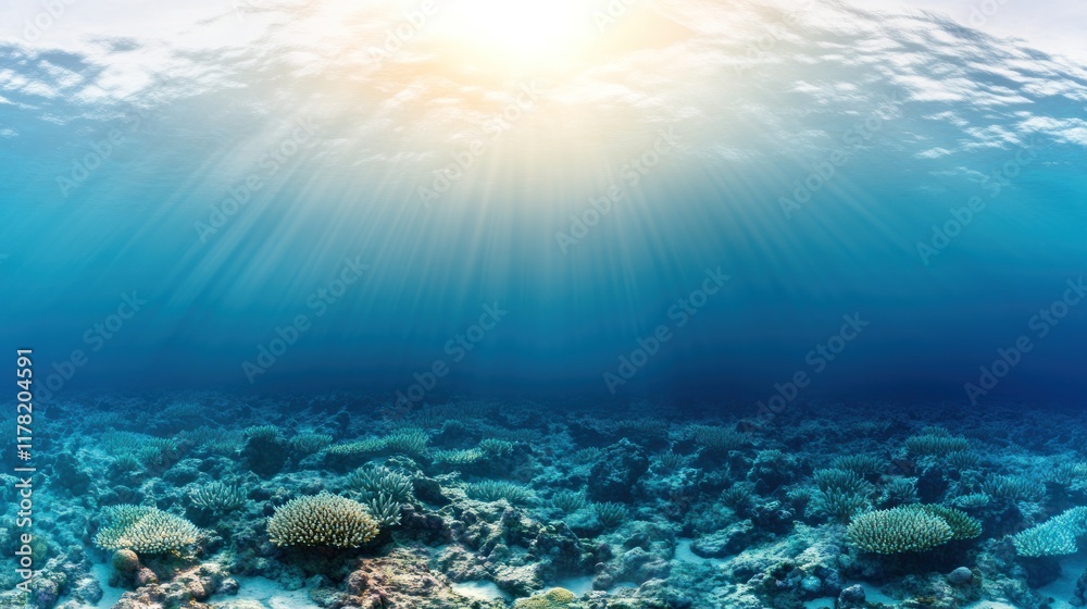 Fototapeta premium Underwater scene showcasing coral reefs and sunlight rays.