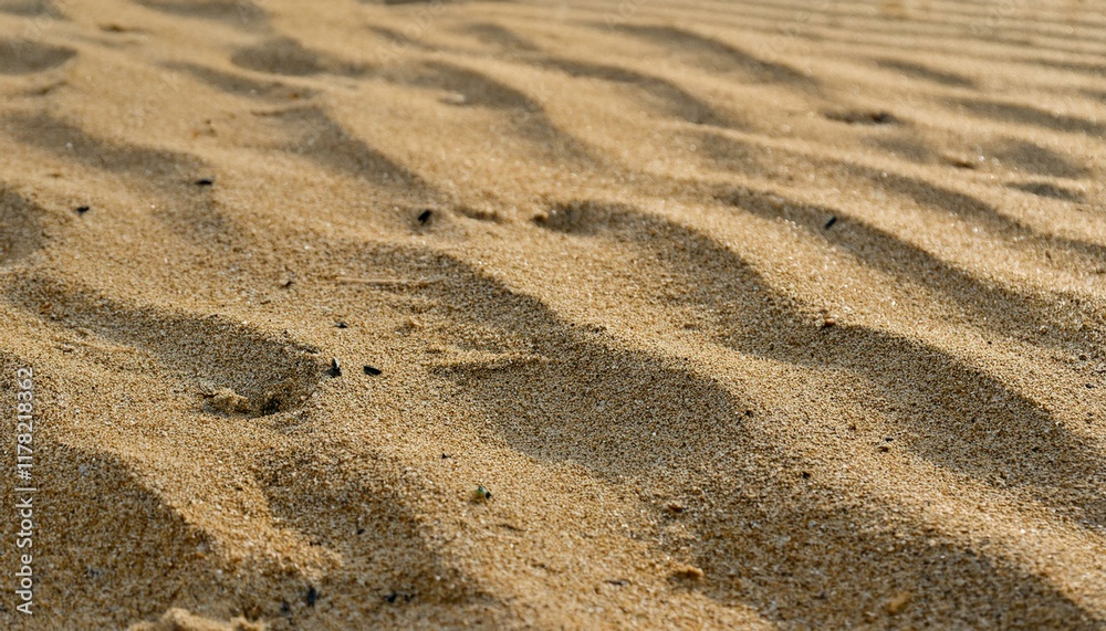 Close-up of gently rippled sand, golden hour light. Close-up of gently rippled sand, golden hour light.