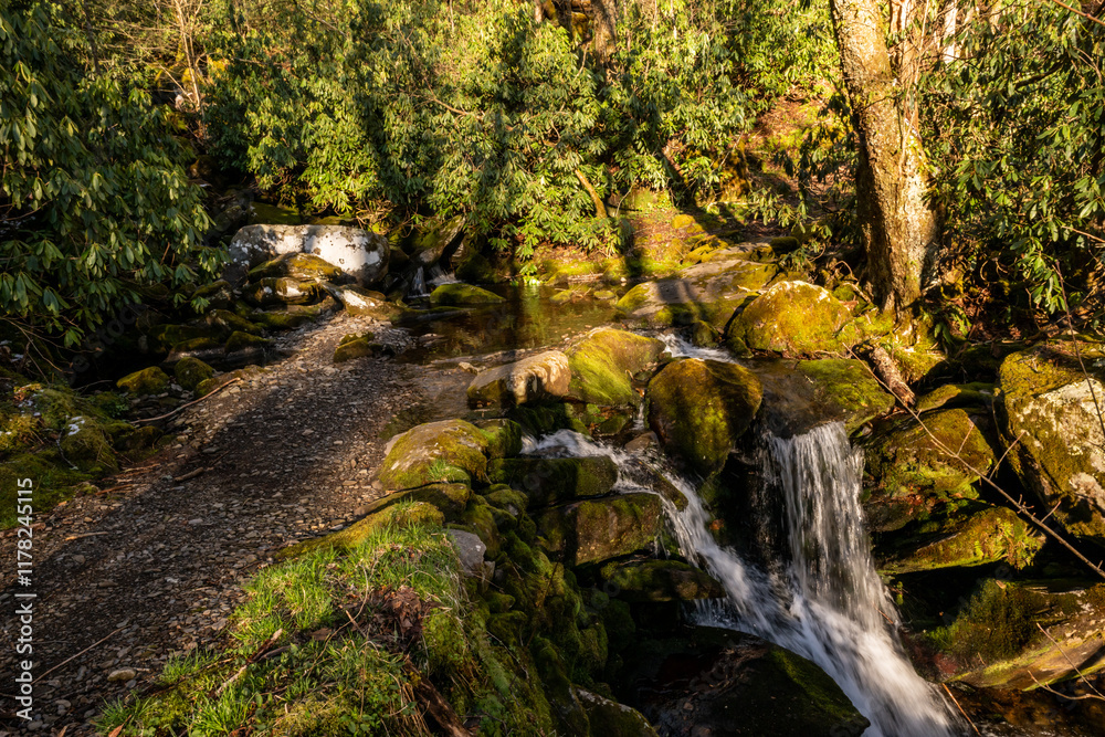 Rock Creek Tumbles Down to and Over Snake Den Ridge Trail Rock Creek Tumbles Down to and Over Snake Den Ridge Trail