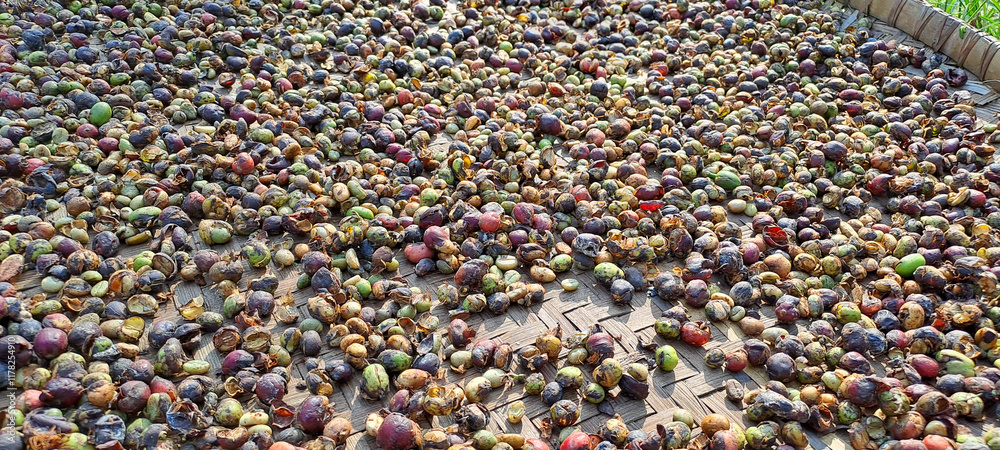 Coffee beans drying in the sun. coffee cherries lying to dry in the sun in a drying station on raised bamboo beds
Coffee beans drying in the sun. coffee cherries lying to dry in the sun in a drying station on raised bamboo beds