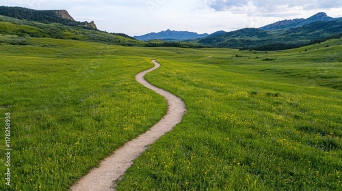 Fototapeta Naklejka Na Ścianę i Meble -  A winding path through a vibrant green meadow leads to majestic mountains in the distance