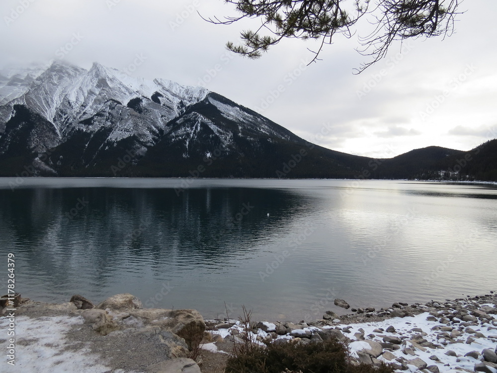 Nature and snow